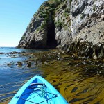 Looking back at the entrance to kelp cove